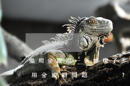 備用金逾期一天修復了多久能用，如何解決備用金逾期問題？逾期一天修復后多久可以使用？